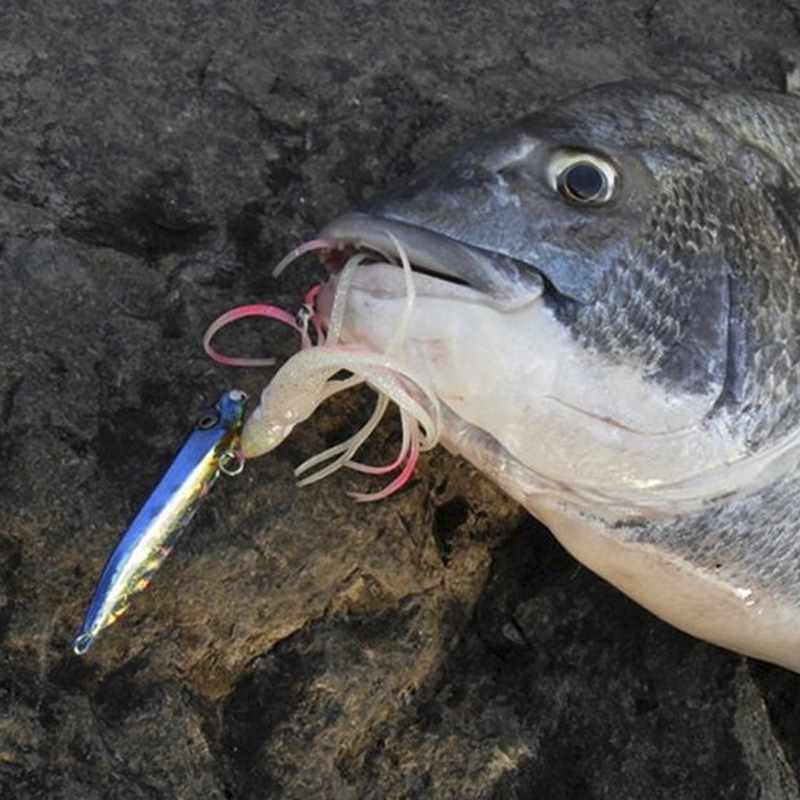 OBSESSION J25 Inchiku Squid Lu - Fishing Lure Buzzbait ulasan dan harga