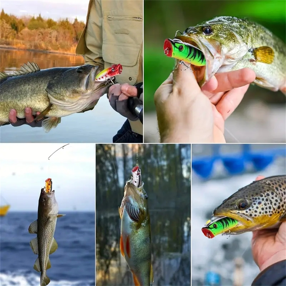 5Pcs Popper Fishing Lures 3d E - Fishing Lure Topwater ulasan dan harga